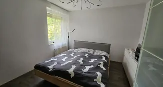 von_poll_real_estate_property_25169019_1_image_9