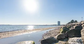 von_poll_real_estate_property_25169016_1_image_16