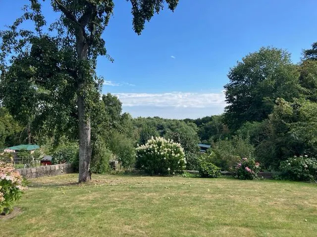 Sommerimpressionen
