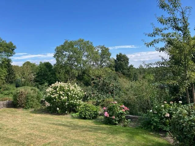 Sommerimpressionen