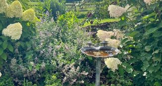 von_poll_real_estate_property_25055057_image_3