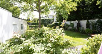 von_poll_real_estate_property_25047023_image_29