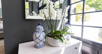 von_poll_real_estate_property_25047023_image_17
