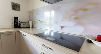 von_poll_real_estate_property_25047027_image_6