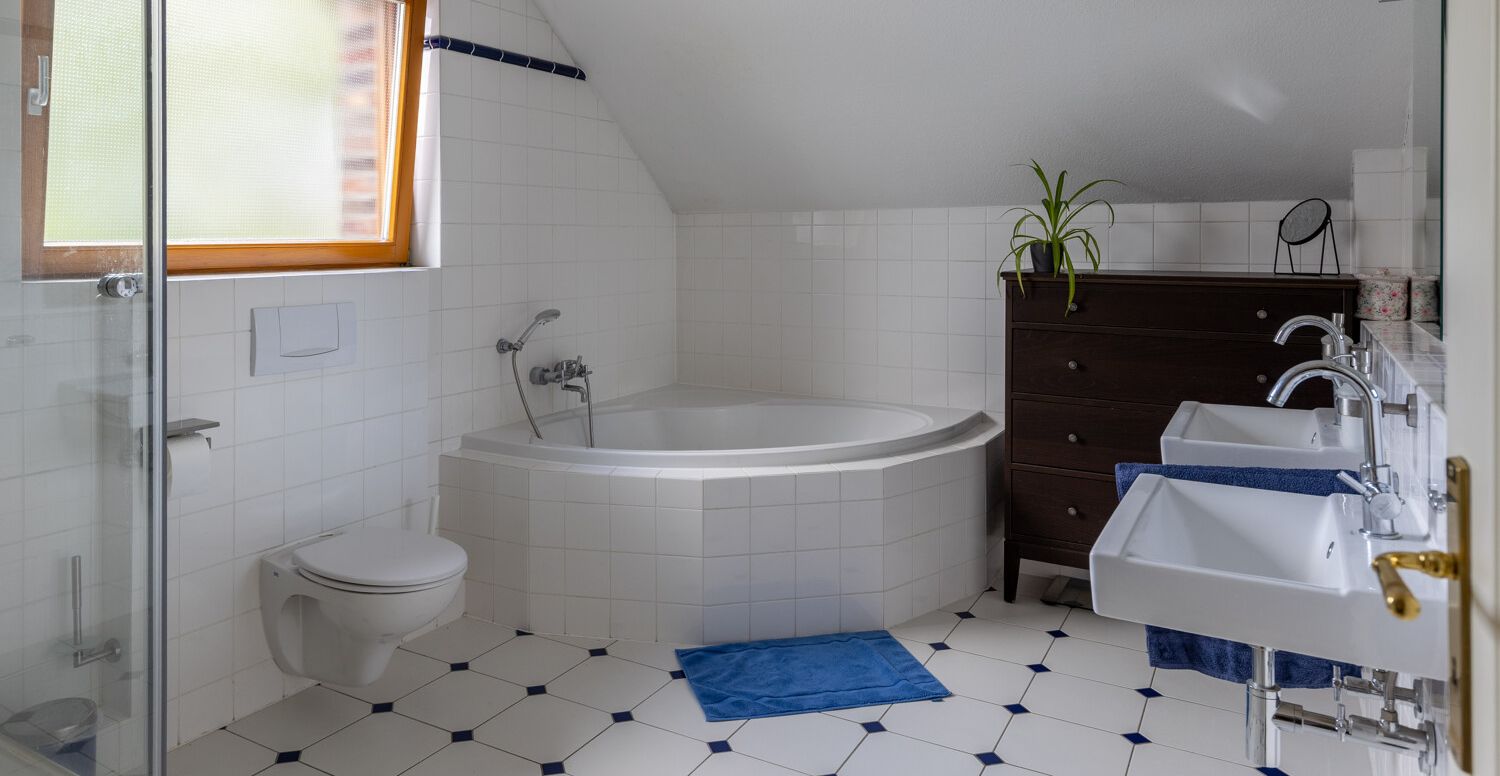 Tageslicht-Wannenbad mit Dusche