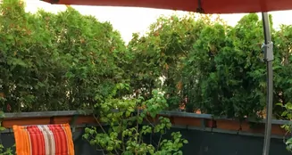 von_poll_real_estate_property_25047046_image_8