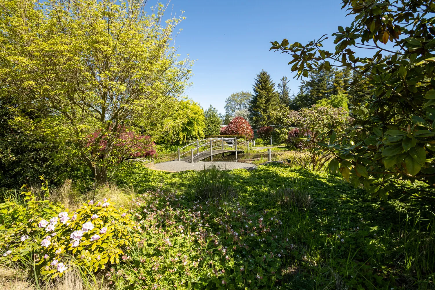 Parkimpressionen 2