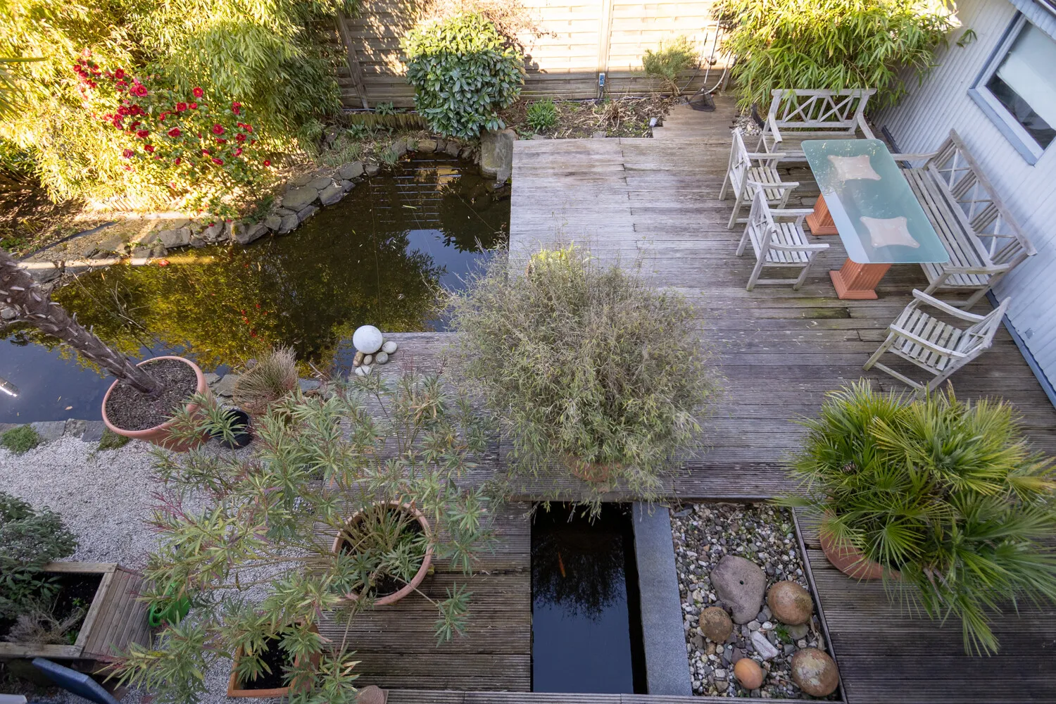 Blick in den Garten
