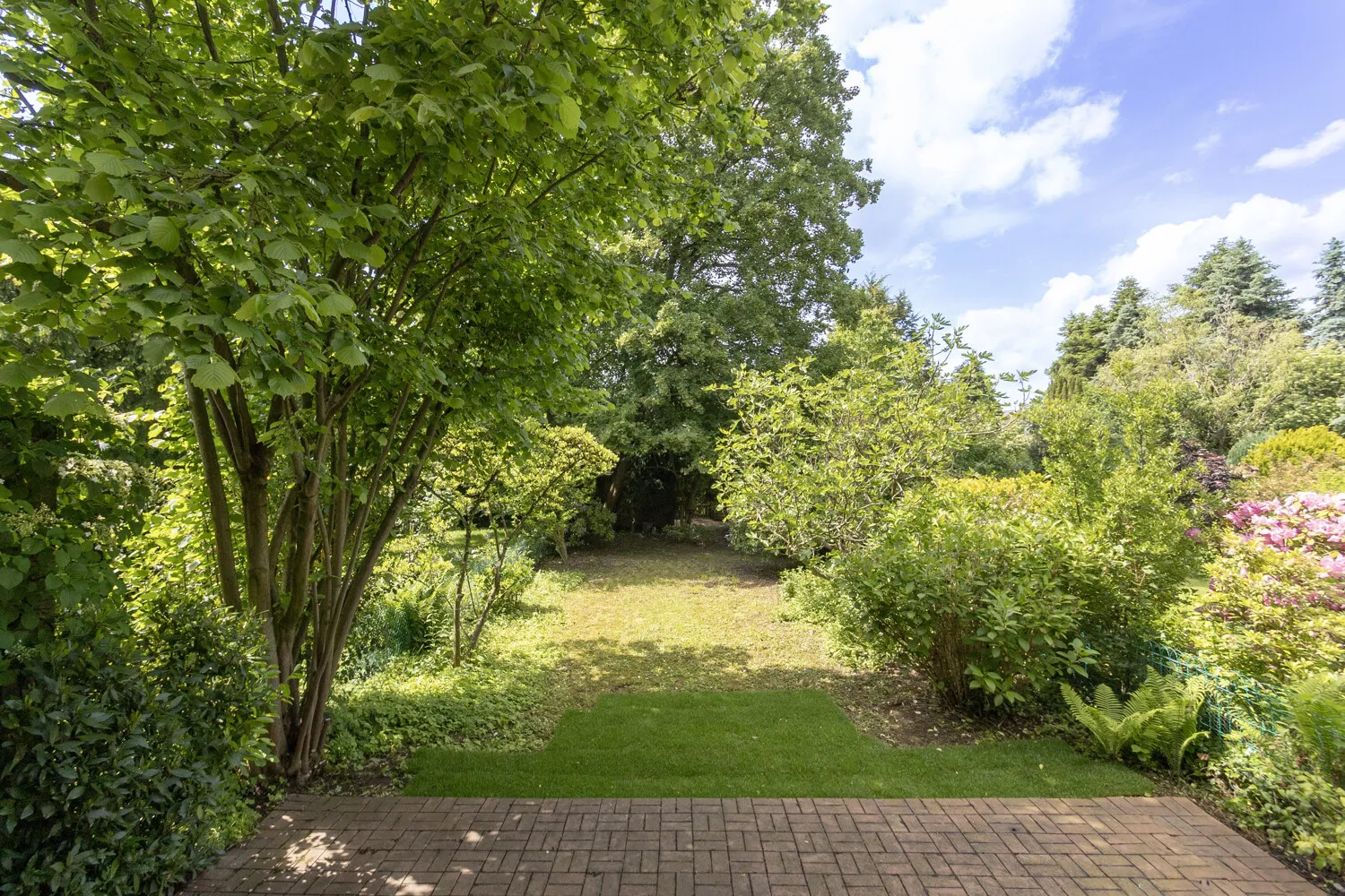 Blick in den Garten