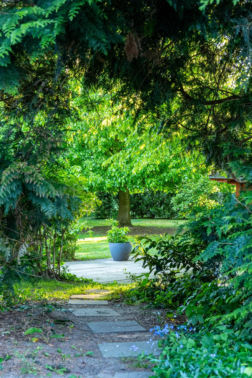 Blick zur "Grillterrasse" am Gartenhäuschen