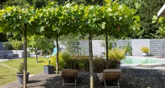 von_poll_real_estate_property_25047035B_image_5