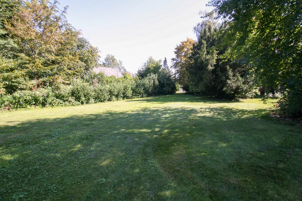 Gartenimpressionen