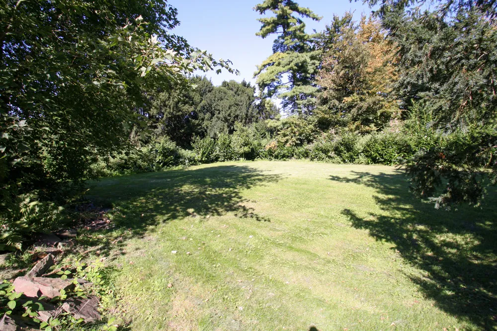 Gartenimpressionen