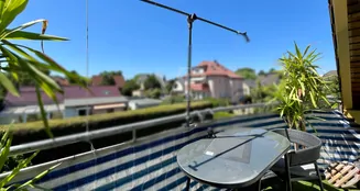 von_poll_real_estate_property_25068039_image_11