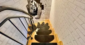 von_poll_real_estate_property_25068039_image_12