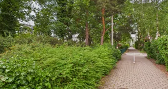 von_poll_real_estate_property_25068037_image_7