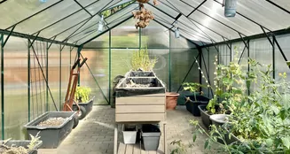 von_poll_real_estate_property_25068048_image_10