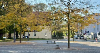 von_poll_real_estate_property_25068058_image_13