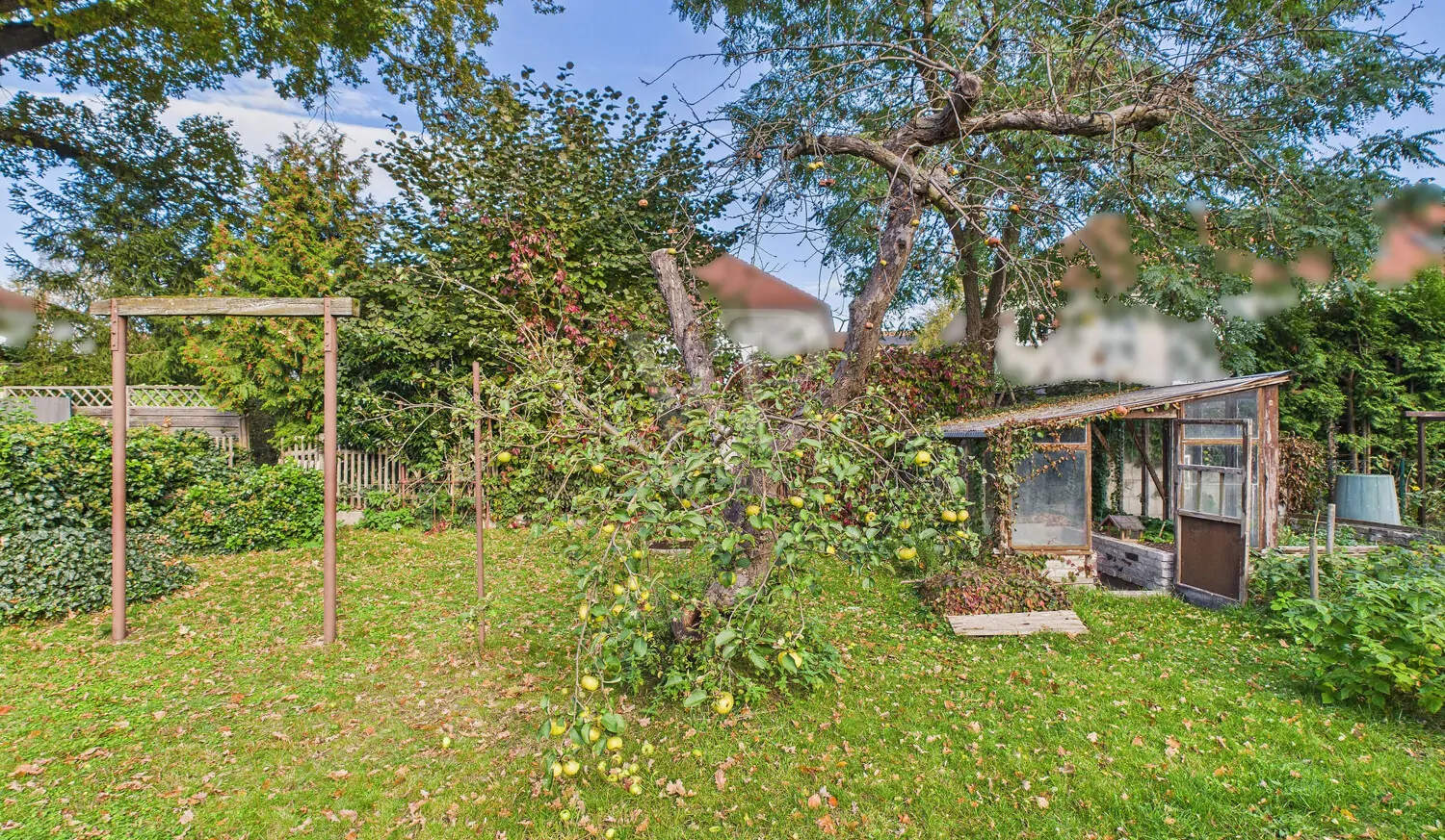 Ehemaliges Gewächshaus