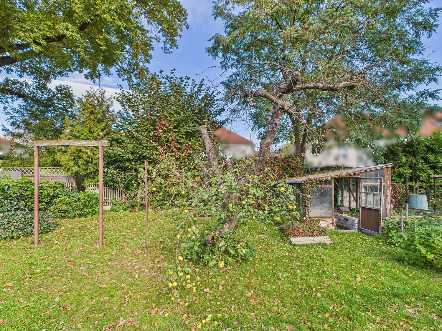 Ehemaliges Gewächshaus