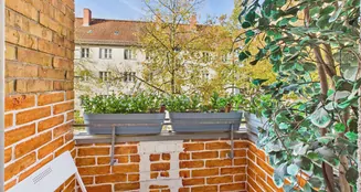 von_poll_real_estate_property_25068064_image_8