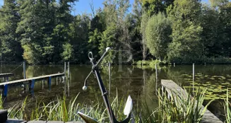 von_poll_real_estate_property_25068056_image_35