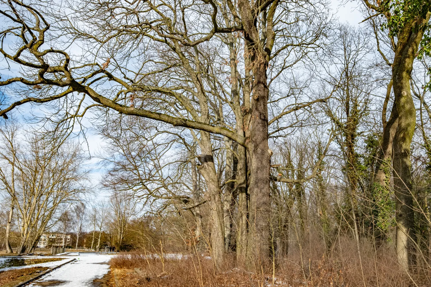 Umgebung Landschaftspark