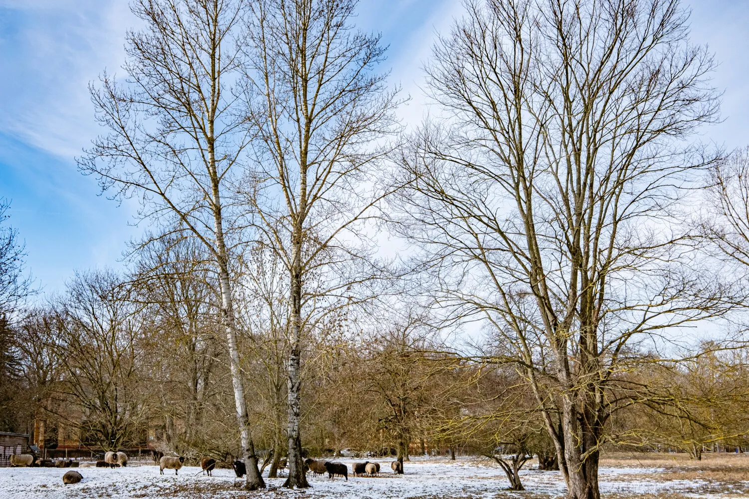 Umgebung Landschaftspark