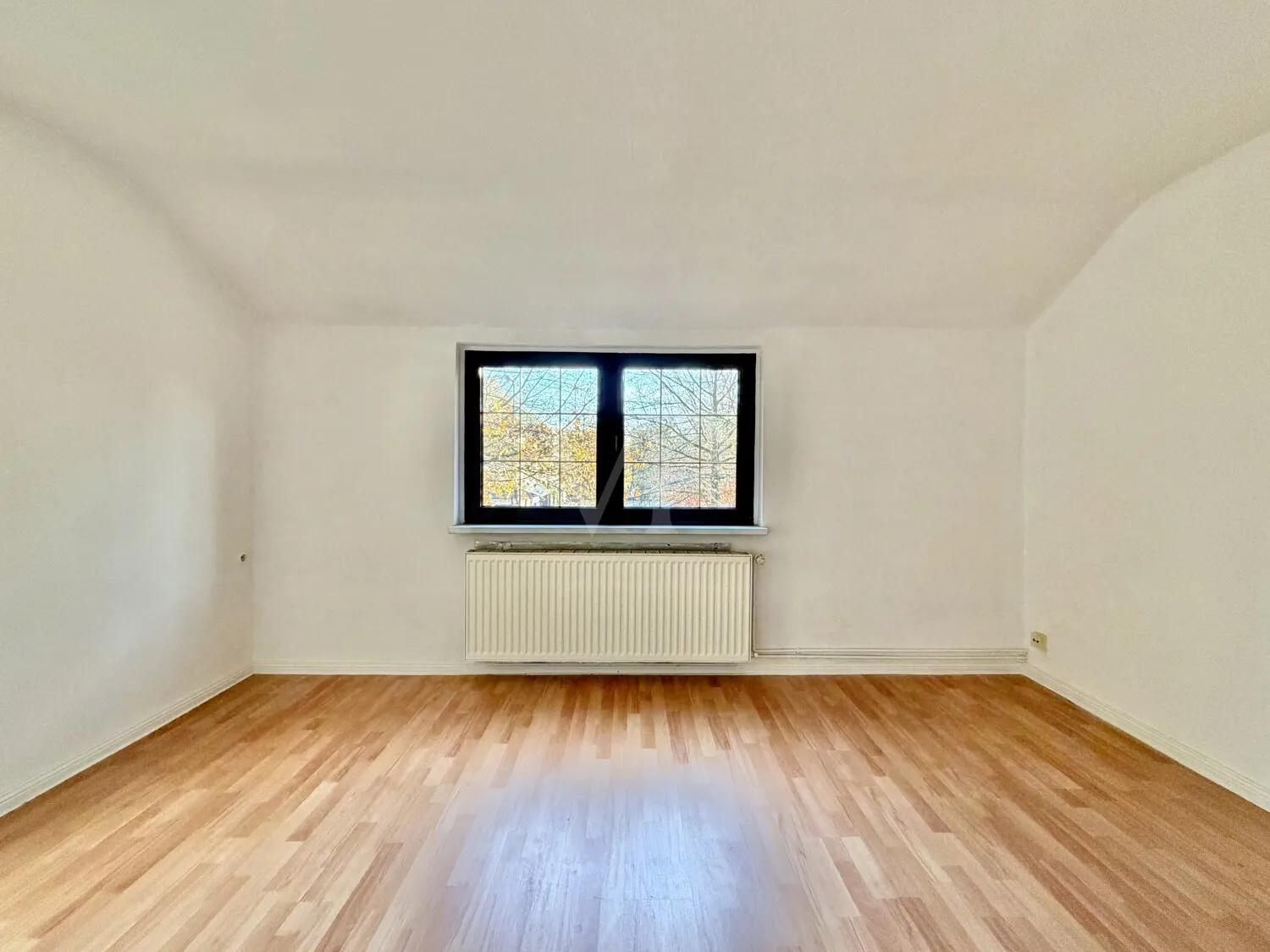 Zimmer II DG