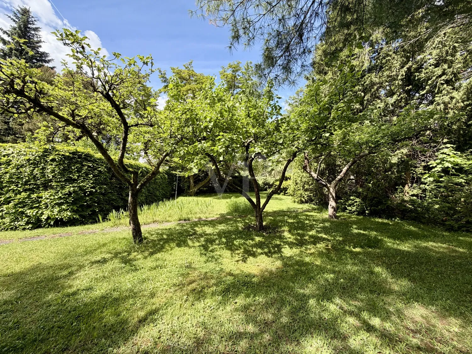 Garten mit Obstbäumen II