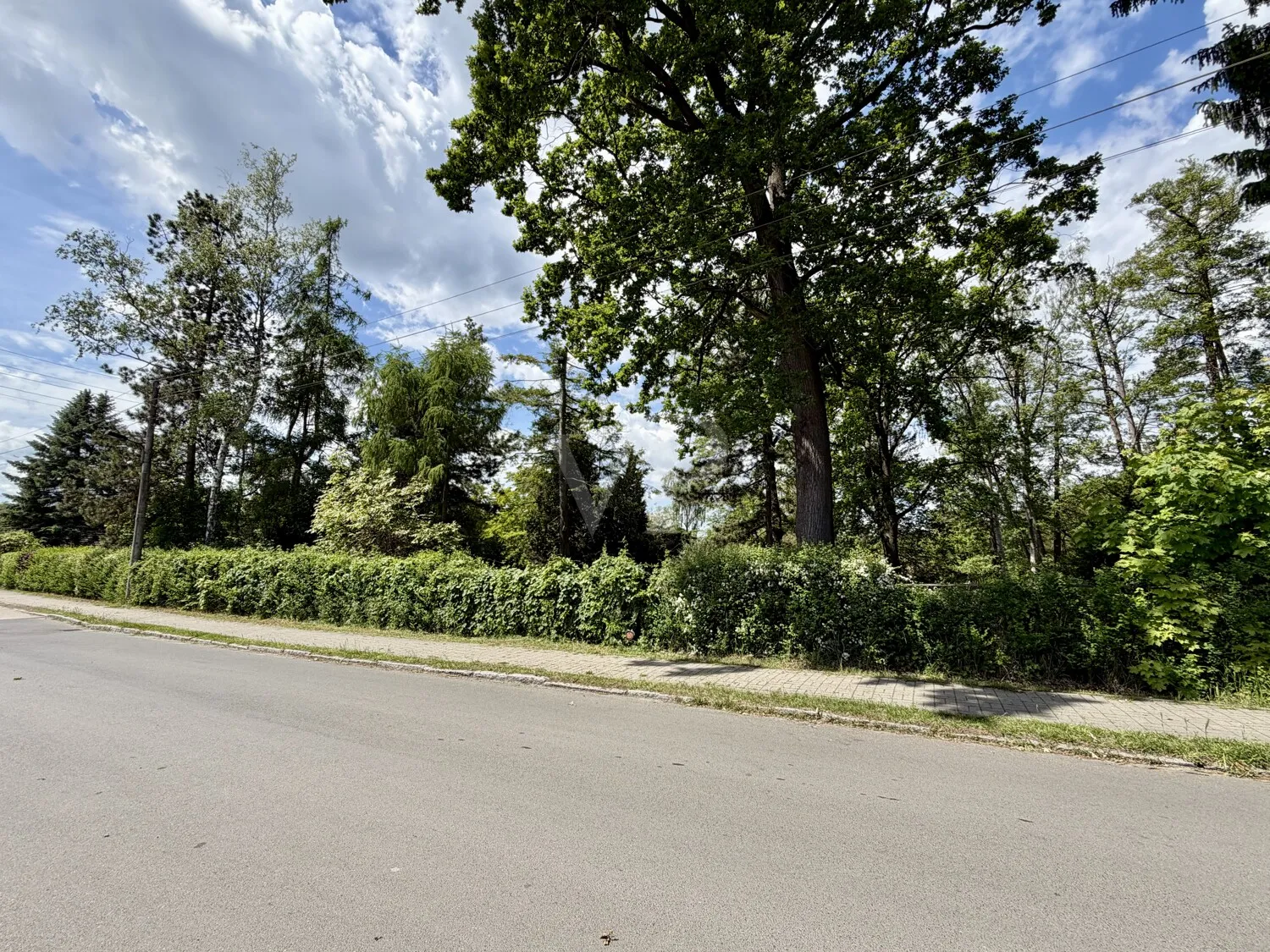Straßenansicht II