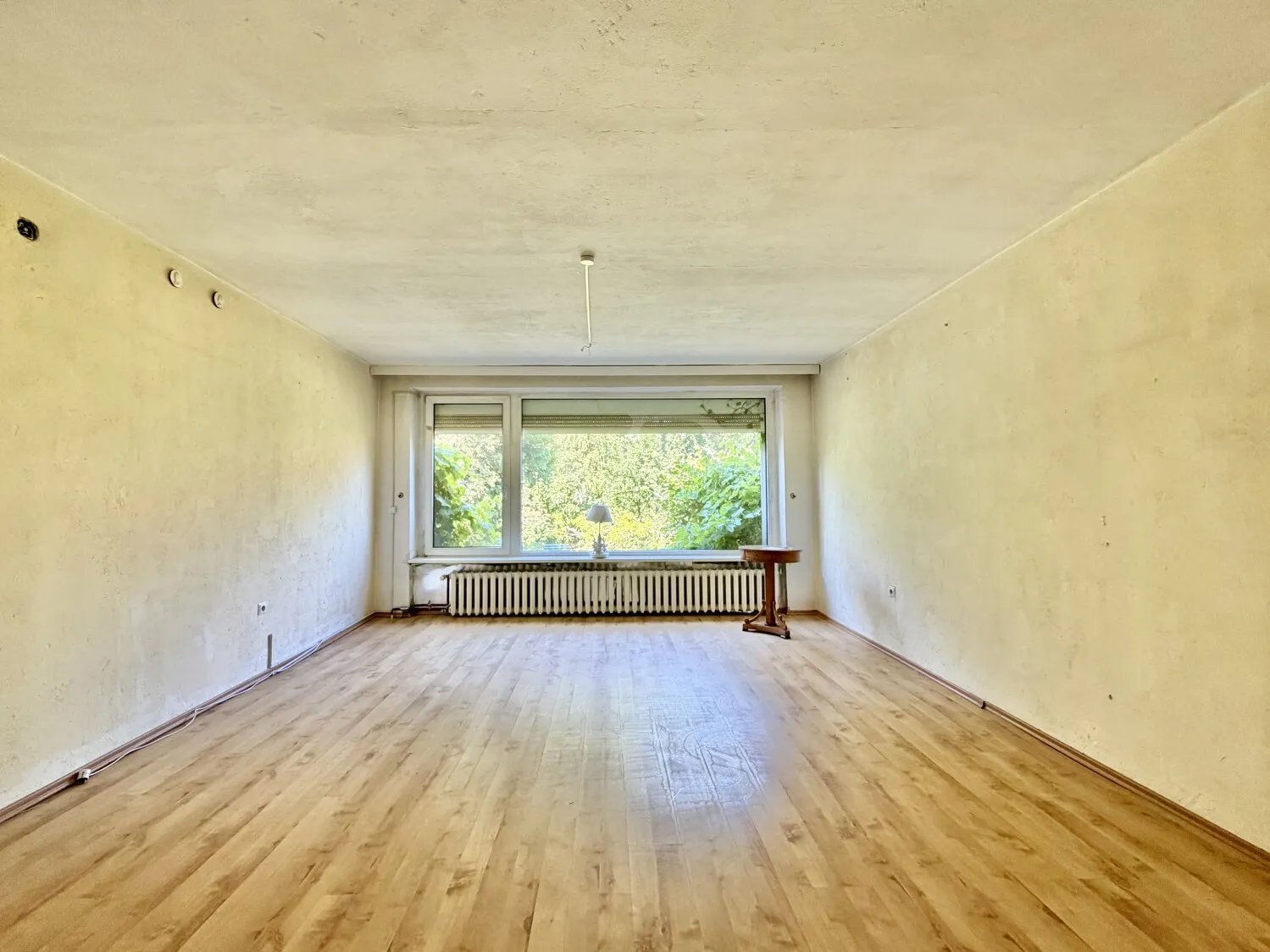 Zimmer EG