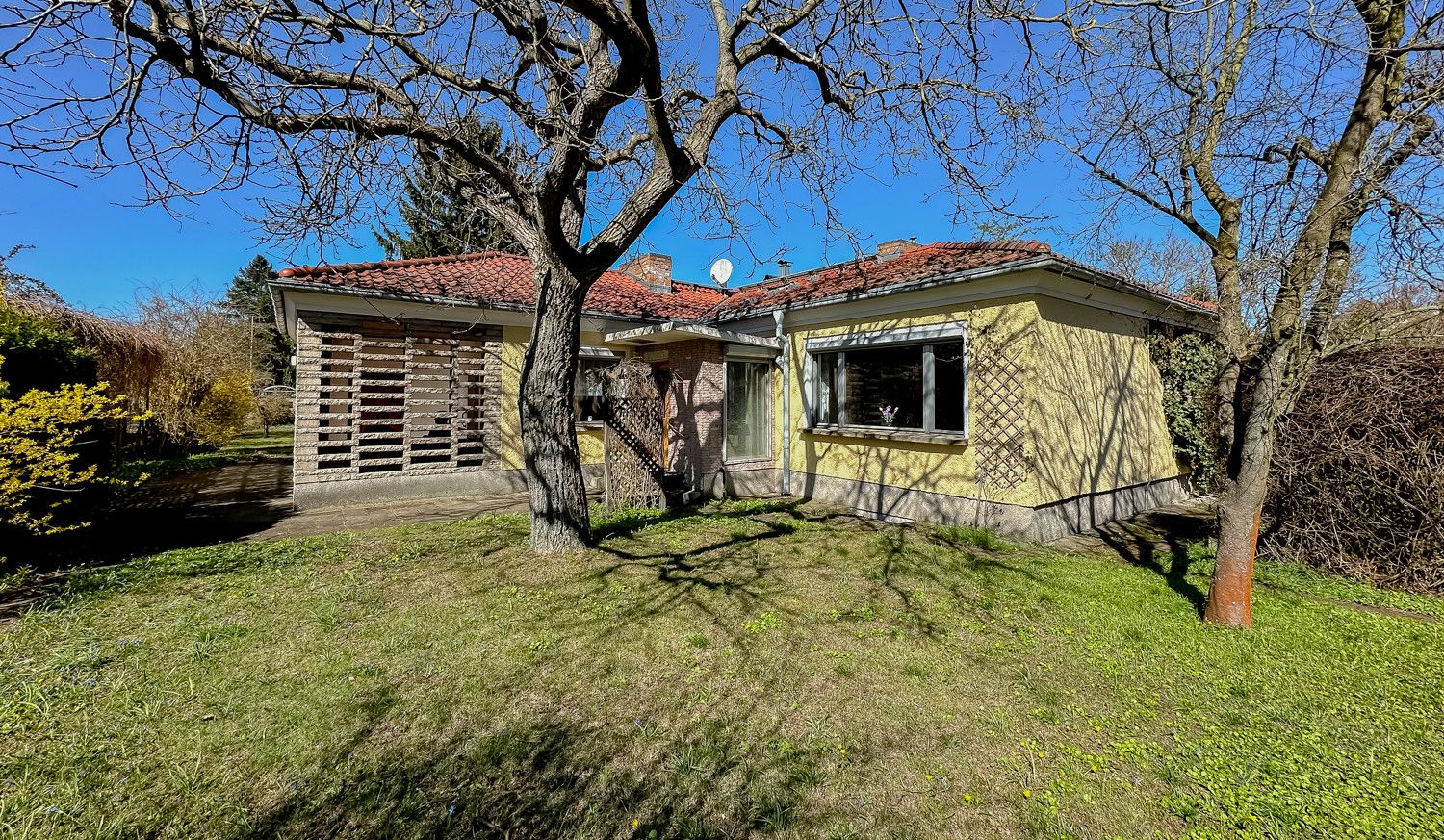 Hinterer Garten