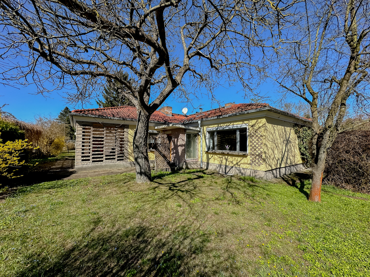 Hinterer Garten
