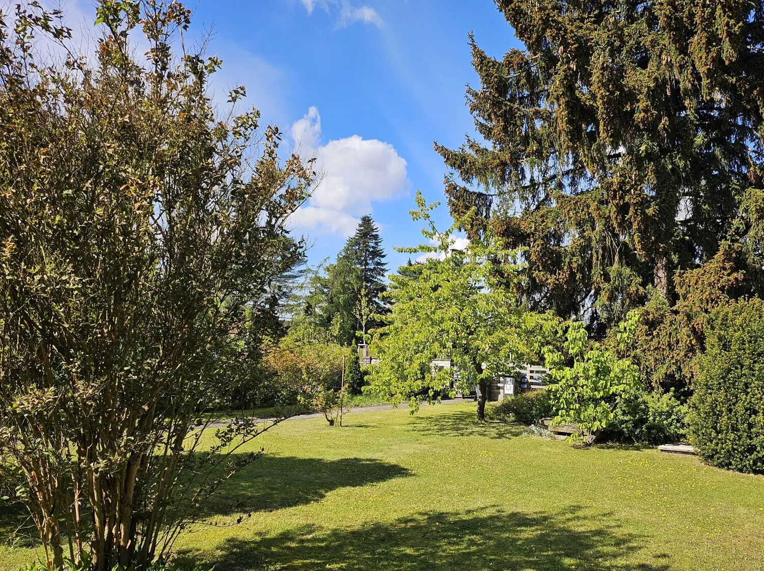 Vorderer Garten