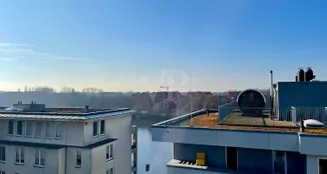 von_poll_real_estate_property_25068014WE41Miete_image_10