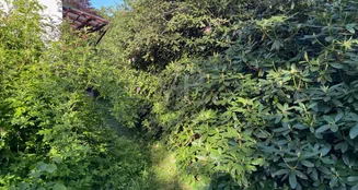 von_poll_real_estate_property_25095018_image_5