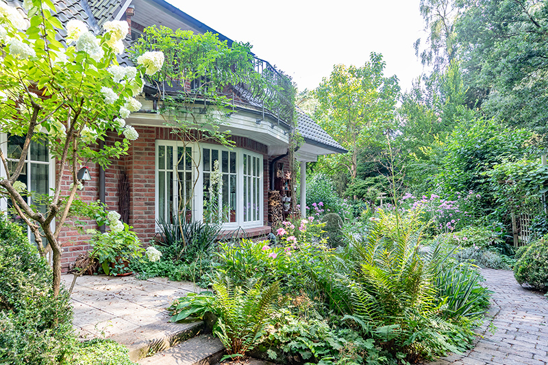 Blick in den Garten