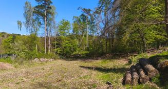 von_poll_real_estate_property_25095028_image_0