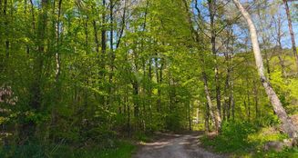 von_poll_real_estate_property_25095028_image_3