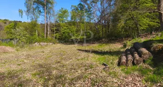 von_poll_real_estate_property_25095028_image_1