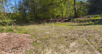 von_poll_real_estate_property_25095028_image_2