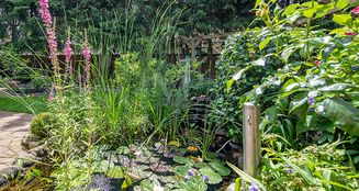 von_poll_real_estate_property_25095027_image_9