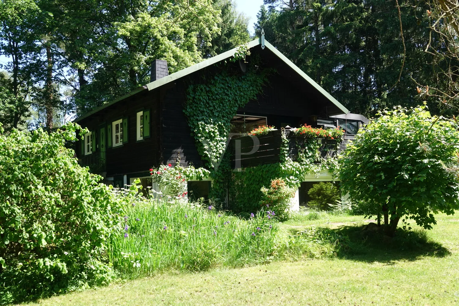 Sommer