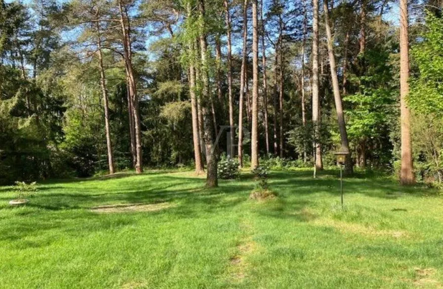 Blick auf die Auffahrt