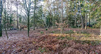 von_poll_real_estate_property_25095039_image_5