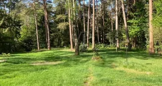 von_poll_real_estate_property_25095040_image_5