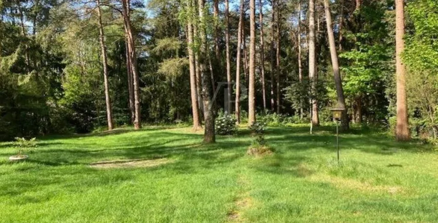 Blick auf die Auffahrt