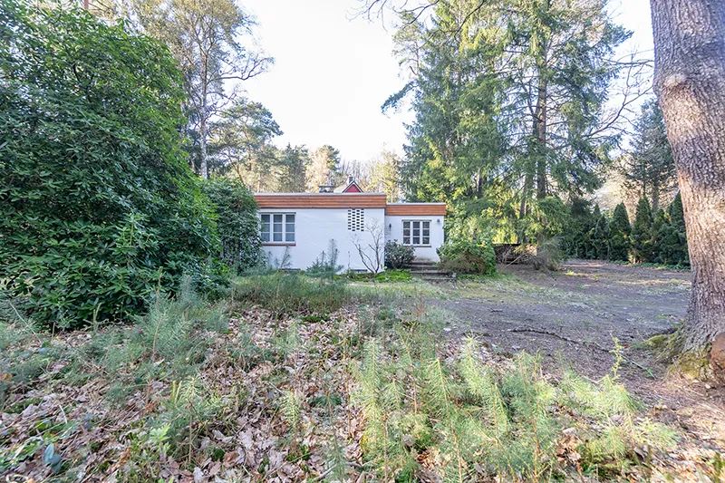 Rückzugsort im Grünen – Bungalow auf sonnigem Waldgrundstück