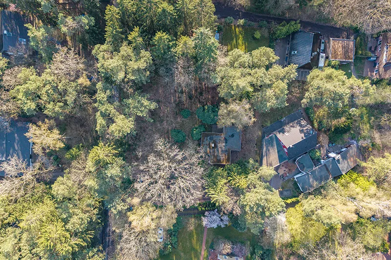 Rückzugsort im Grünen – Bungalow auf sonnigem Waldgrundstück